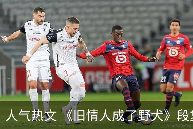人气热文 《旧情人成了野犬》段复津谈轻棠 谈雾亦段珩常